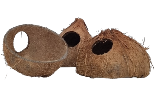 Coconut Cave