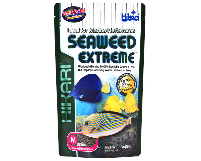 Hikari Seaweed Extreme